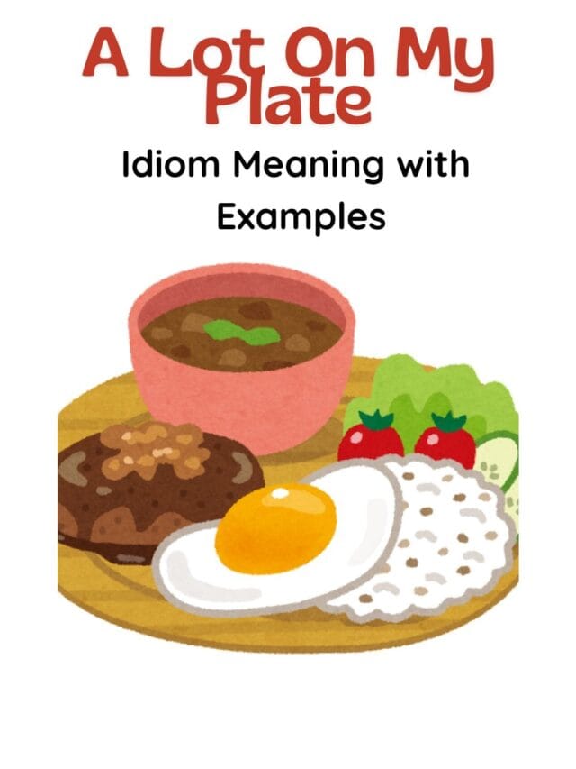 A Lot on My Plate Idiom Meaning and 5 Simple Examples