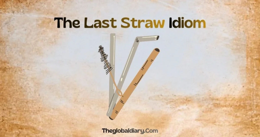 The Last Straw Idiom - Meaning with 10 Simple Examples
