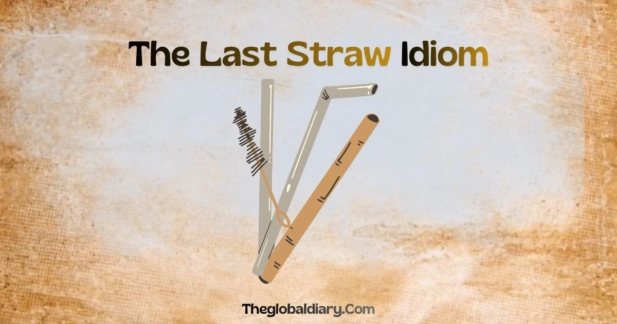The Last Straw Idiom - Meaning with 10 Simple Examples
